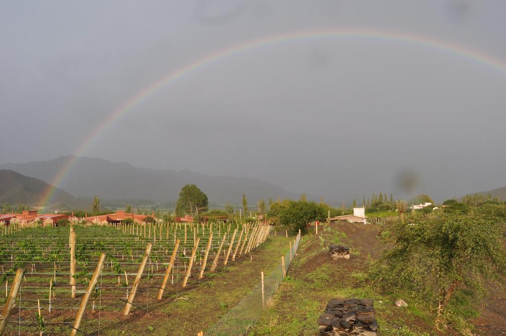Miraluna Bodega Boutique Cachí Екстериор снимка