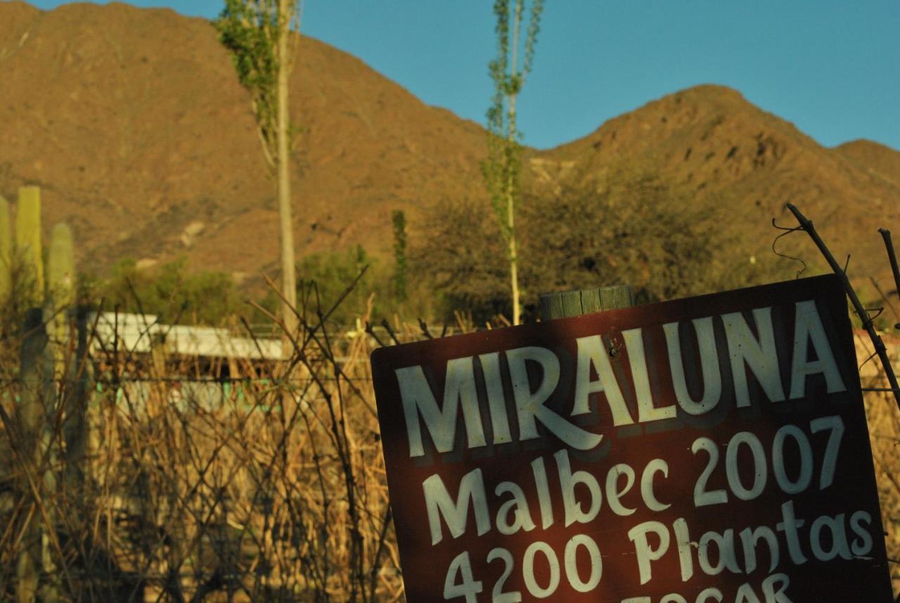 Miraluna Bodega Boutique Cachí Екстериор снимка
